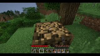 minecraft hardcore costruzione casa parte 1 by Francesco [upl. by Free]