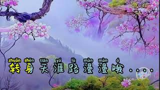 YOU SHENG ZHI LIAN  有生之恋  云朵  海来阿木 Pinyin Lyrics [upl. by Beth]