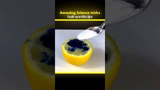 Science tricks bangla তিনটি আকর্ষণীয় সায়েন্স ট্রিক । [upl. by Loos826]