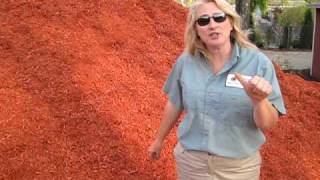 Lakeview Nurseries  Super Red Cedar Mulch [upl. by Neelat]