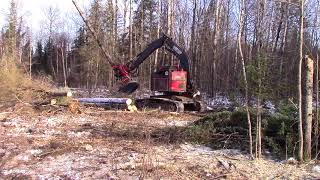 Valmet 425EX Feller Buncher with a Quadco 22quot 360 Head [upl. by Gunther]