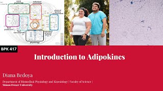 Introduction to Adipokines [upl. by Down761]