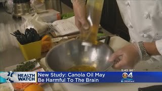 Study Canola Oil May Be Harmful To The Brain [upl. by Prasad163]