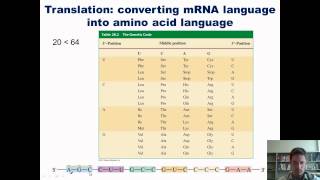 Chapter 28 – Nucleic Acid Chemistry Part 2 of 2 [upl. by Naval]