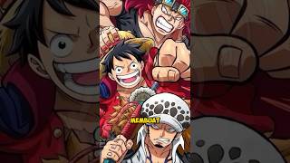 TRAFALGAR LAW ❗❓ GA LAYAK JADI YONKO [upl. by Pulling272]