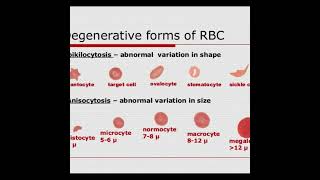 Anisocytosis  Symptoms and Causes  Diagnosis  Treatment  Prevention healthcare [upl. by Laven995]