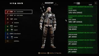 How to unlock Grandmaster Legendary Wolven armor set in NG 2022 Witcher 3 Level 100 [upl. by Eindys]