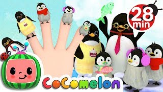 Finger Family Songs  CoComelon Nursery Rhymes amp Kids Songs [upl. by Glennie]