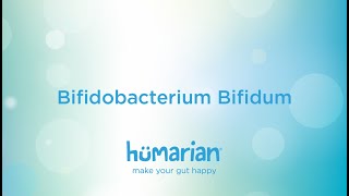 Bifidobacterium Bifidum [upl. by Ahsratan144]