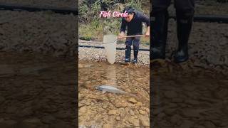 मछली को कैसे दबा लिया गया 😱  Fishing  shorts fishingvideo fish ytshorts [upl. by Narad]