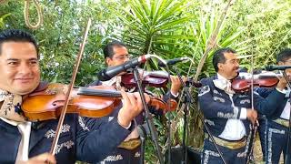 Mariachi Estelar de Zacatlán quotLa puerta negraquot [upl. by Betz]