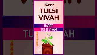 Tulsi Vivah 2024 Wishes Greetings Messages And Quotes To Celebrate The Auspicious Festival [upl. by Retsehc537]