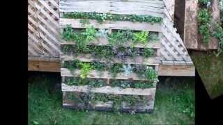 Building a Vertical Pallet Garden Subscribe to OUR LITTLE HOMESTEAD [upl. by Nahamas]