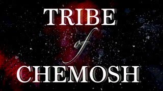 Dawn of Ashes  Tribe of Chemosh OFFICIAL LYRIC VIDEO [upl. by Bergmann]