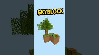 SKYBLOCK en PROBLEMAS [upl. by Mccourt]