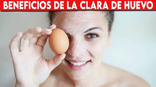 🔴 Beneficios De LA CLARA DE HUEVO PARA EL ROSTRO ✅ PROPIEDADES De La Clara De Huevo En La Cara [upl. by Adnema]