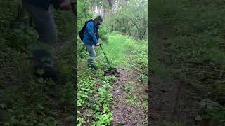 Détection de métaux  dans les bois détecteur metaldetecting metaldetector xp [upl. by Nosnarb]