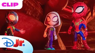 Marvels Spidey and his Amazing Friends  Adventures in Fossil Hunting with Spidey  disneyjr [upl. by Almeda]