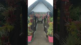 🔴 SEE THIS BEAUTIFUL BRIDGE AT ALBAY PARK AND WILDLIFE shorts [upl. by Denoting]