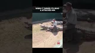 Shocking  16Foot Crocodile Attacks Zookeeper During Live Show [upl. by Marybella]