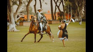 Caballo de paso peruano  Marinera norteña 2021 [upl. by Amata]