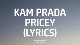 Kam Prada  Pricey Lyrics [upl. by Anemolihp381]