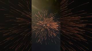 Cornation 5” big umbrella Sky shot💥🎇🎆shorts skyshot fireworks crackers diwali2024 [upl. by Yekim]