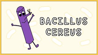 Bacillus cereus Simplified Morphology Types Symptoms Treatment [upl. by Mace]