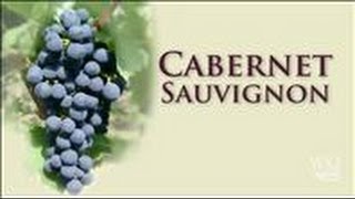 Cabernet Sauvignon A Prestigious Grape to Grow [upl. by Ellerihs244]