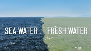 Fresh Water Meets Sea Water – Boundary Explained [upl. by Ahsinan]