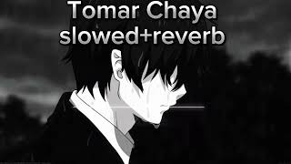 Tomar chayashitom Ahmed slowed reverb by Alom [upl. by Vashtia]