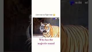 Lion Roar vs Tiger Roar😱animals kids safari lionsound tigersound zoo [upl. by Elsi]