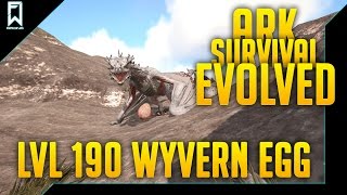 THE PERFECT WYVERN EGG lvl 190   ARK survival evolved lvl 190 egg [upl. by Savina716]