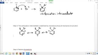 Electrophilic Aromatic Substitution Mechanism [upl. by Oniratac716]