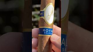 Another EXTREMELY expensive cigar 💸💸 cigar cigars luxury [upl. by Edaw]