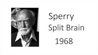 Sperry 1968 in 2 minutes [upl. by Baird]