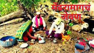 मेंढरामागच्या दुपारच्या जेवणाचा बेत  dhangari jivan [upl. by Randolf803]