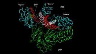 SYGNIS SunScript™ Webinar  A unique ReverseTranscriptase to synthesize difficult RNAs [upl. by Anitsim352]