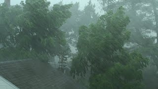 Heavy Rain and Wind Sounds For Sleeping  Relaxation  10 Hours [upl. by Anitnas]