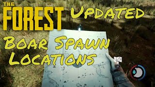 The Forest Boar Spawn Locations Updated [upl. by Akeemaj]