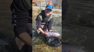 Lake Ontario Tributaries Steelhead Fishing [upl. by Kcin859]