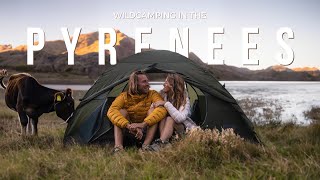 3 Days WILD CAMPING in the PYRENEES SPAIN  FRANCE [upl. by Brunella871]