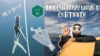 Becoming Molchanovs Wave 1 Certified in Freediving [upl. by Dyolf]