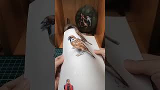 Americans Got Talent Two Sparrows americansgottalent americantalent art animals funny shorts [upl. by Hgieleak767]