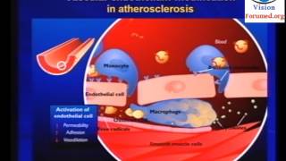 Physiopathologie de Athérosclérose [upl. by Yerffoeg]