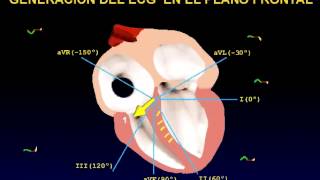 El electrocardiograma EKG [upl. by Ennairod253]