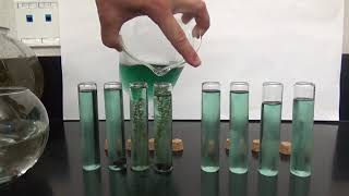 Snail and Elodea Lab Demonstration [upl. by Latrell]