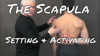 Setting and Activating the Scapula  Ask Dr Abelson [upl. by Nosnek]