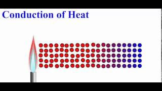 conduction animation [upl. by Vez77]