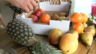 Chez les fruits et légumes les plus moches sont les meilleurs [upl. by Shaylah]